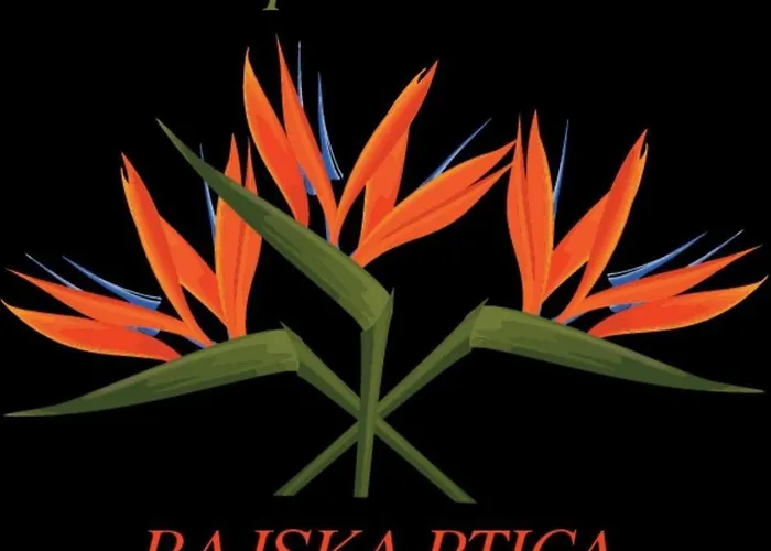 Rajska Ptica