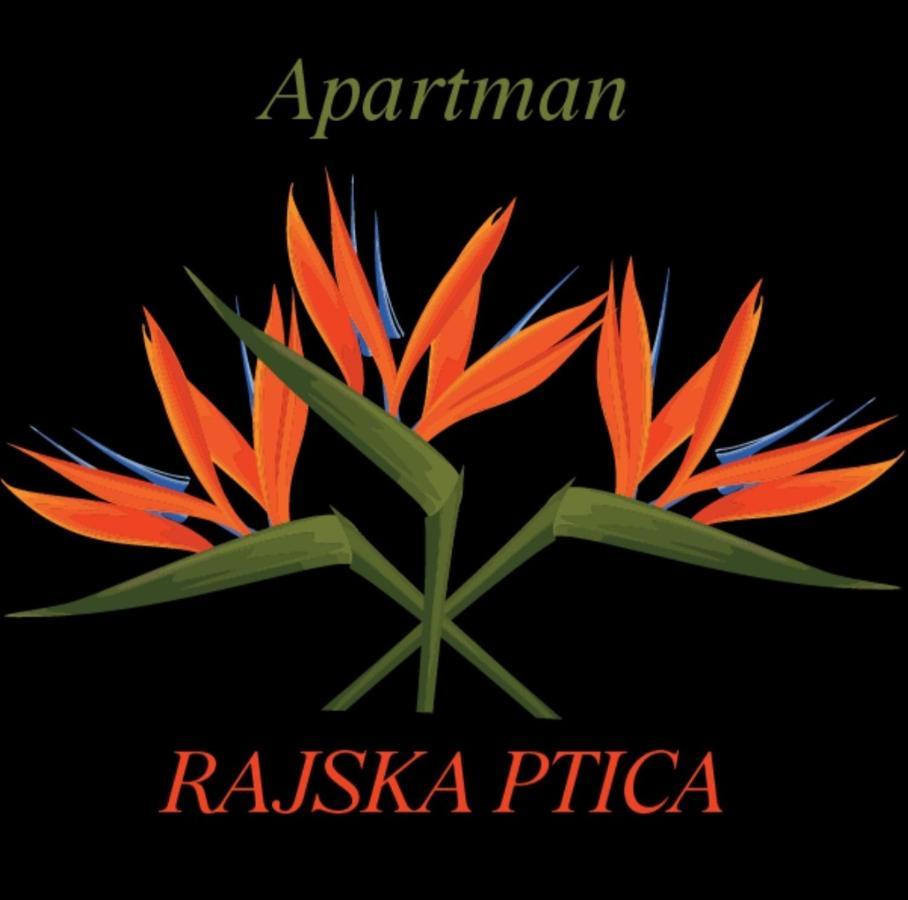 Rajska Ptica *